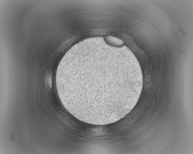 X0000115290068200912141104