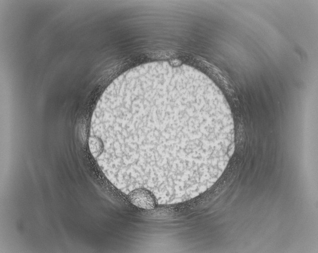 X0000115290069200912141104