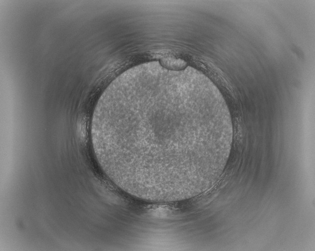 X0000115290074200912141104