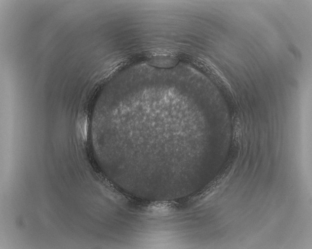 X0000115290076200912141104