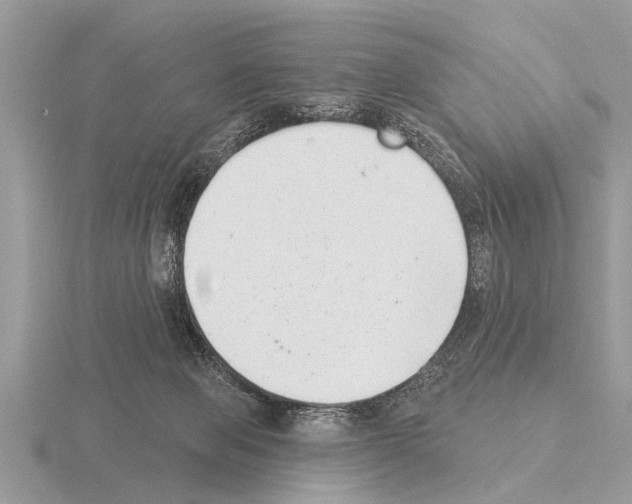 X0000115290077200912141104