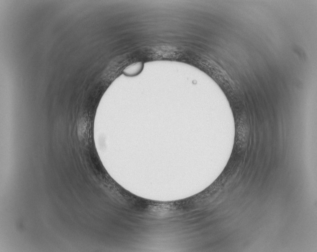 X0000115290079200912141104