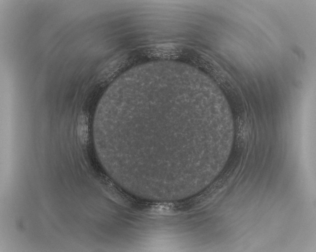 X0000115290080200912141104