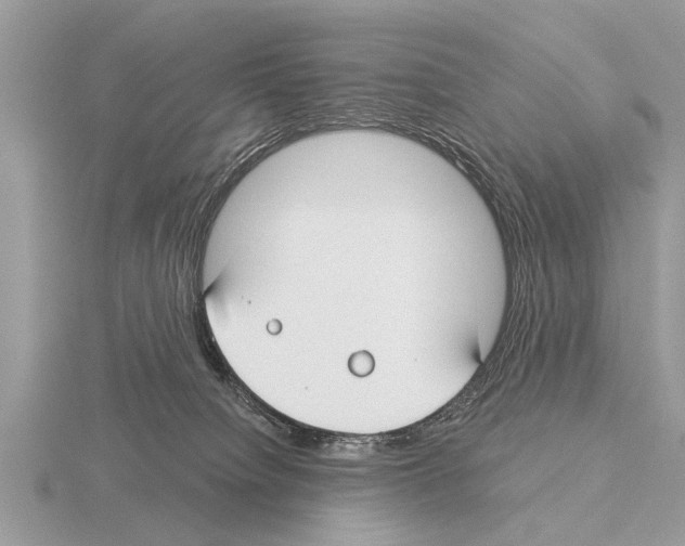 X0000115290084200912141104