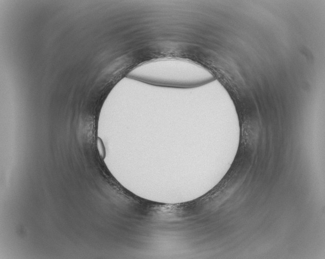 X0000115290092200912141104