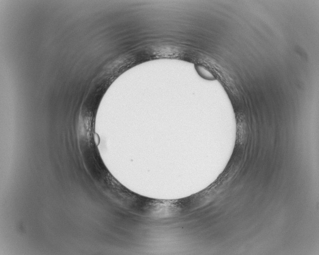 X0000115290093200912141104