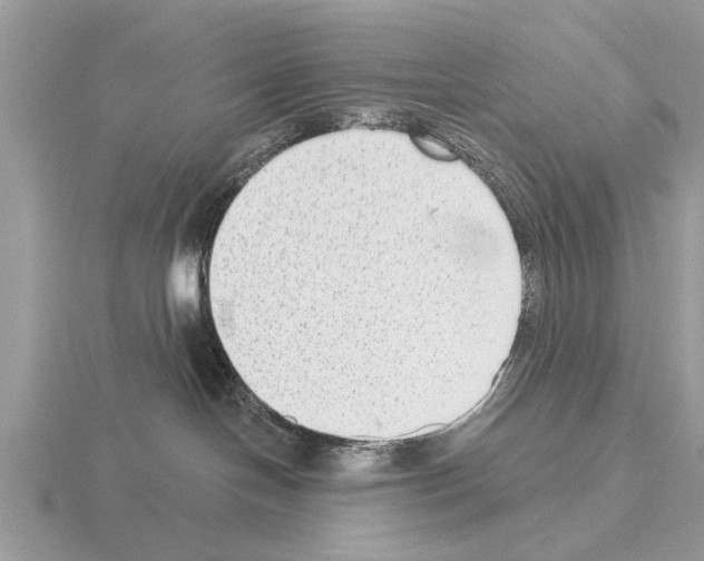 X0000115290094200912141104