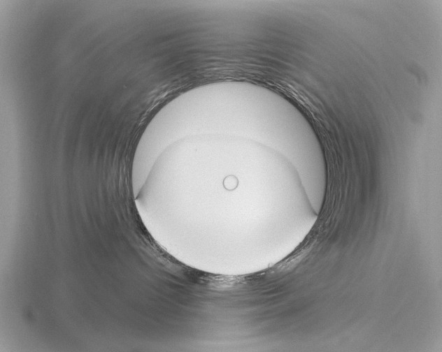 X0000115290096200912141105