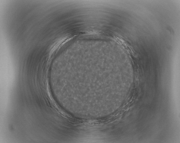 X0000115290097200912141104