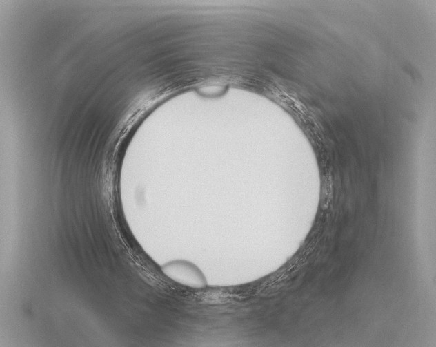 X0000115290098200912141104