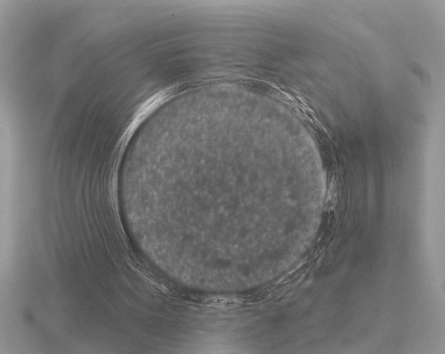 X0000115290099200912141104