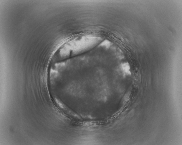 X0000115290100200912141104