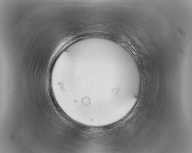 X0000115290101200912141104