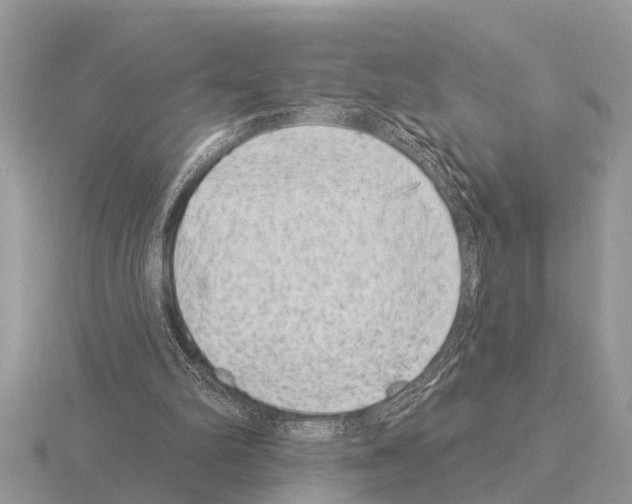 X0000115290102200912141104