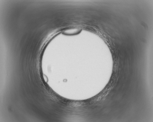 X0000115290103200912141104