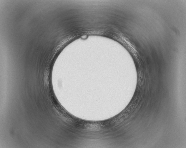 X0000115290107200912141104