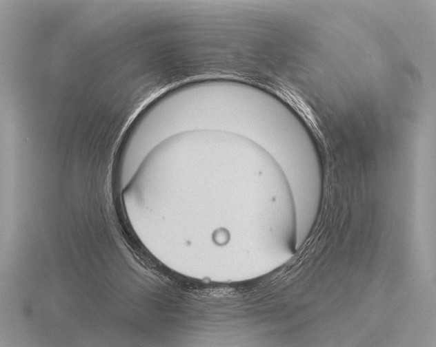 X0000115290108200912141104