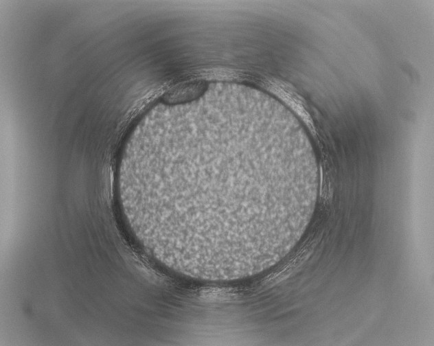 X0000115290109200912141104