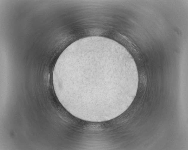 X0000115290110200912141104