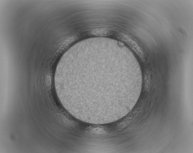 X0000115290113200912141104