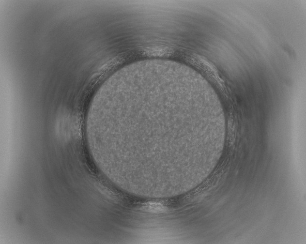 X0000115290114200912141104