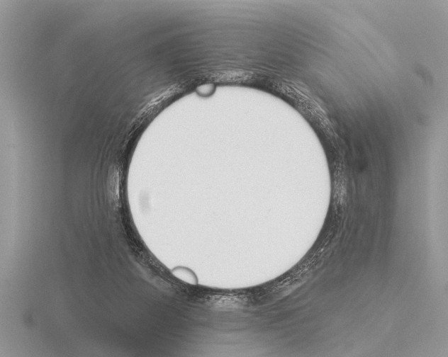 X0000115290115200912141103