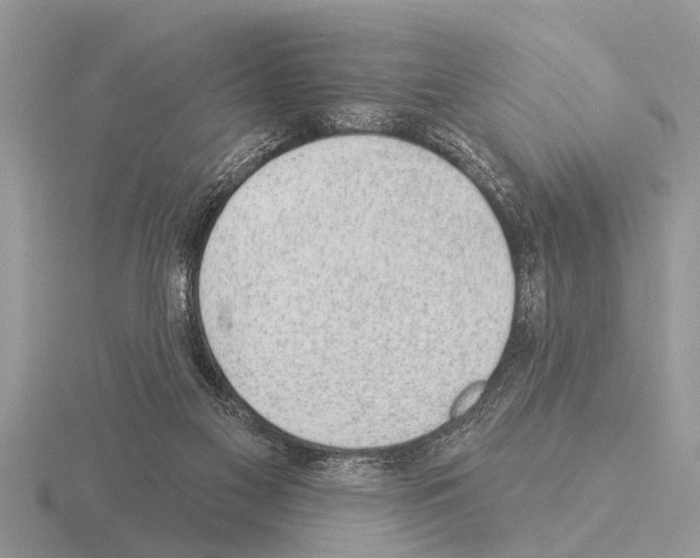 X0000115290117200912141103