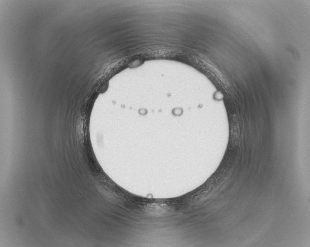 X0000115290119200912141103