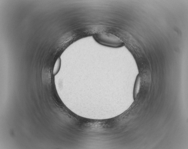 X0000115290120200912141103