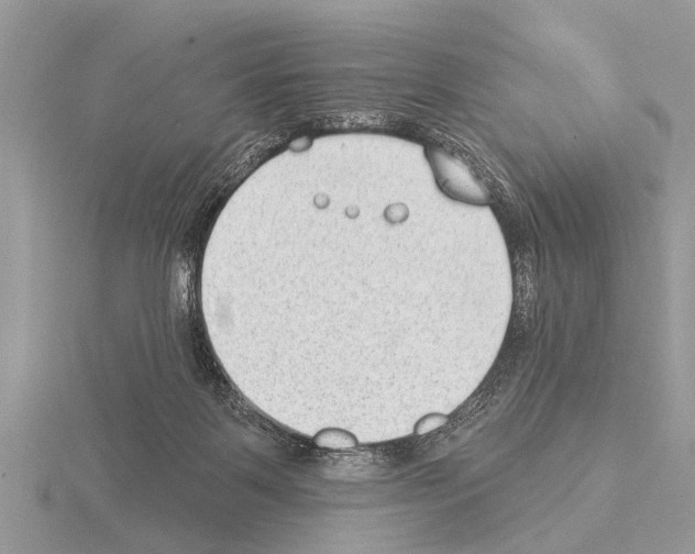 X0000115290123200912141103