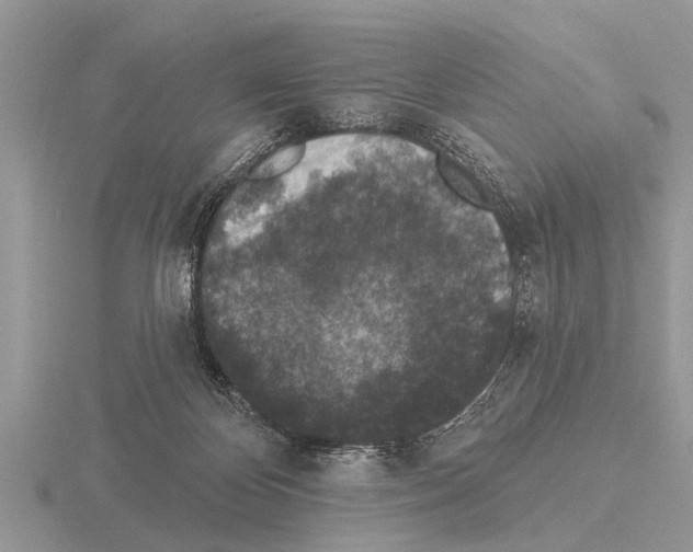 X0000115290124200912141103