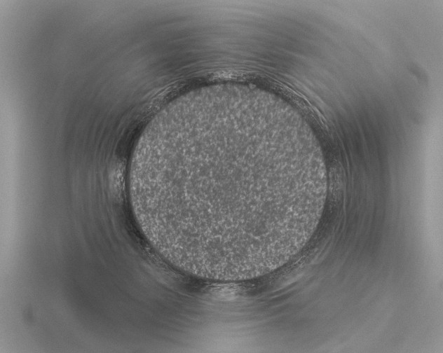 X0000115290127200912141103