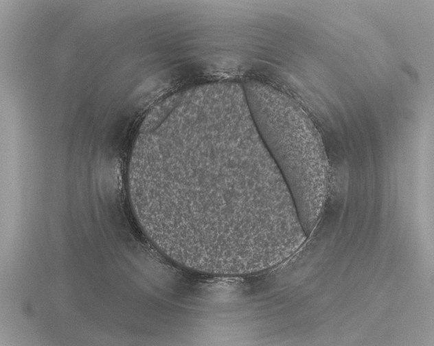 X0000115290128200912141103