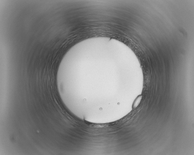 X0000115290129200912141103