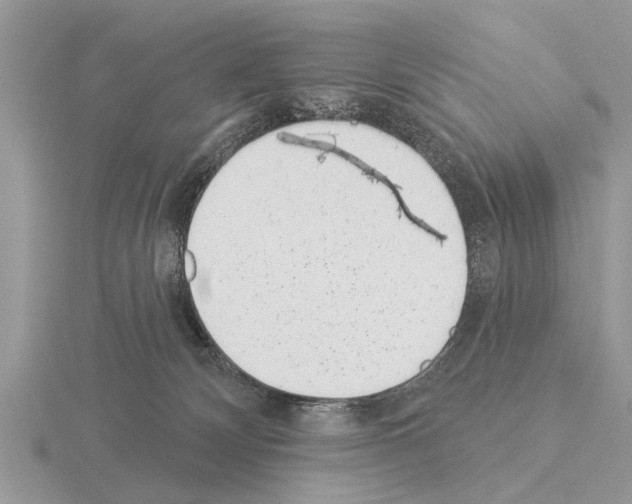 X0000115290132200912141103