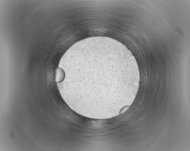 X0000115290134200912141103