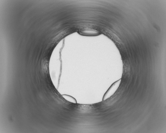 X0000115290141200912141103