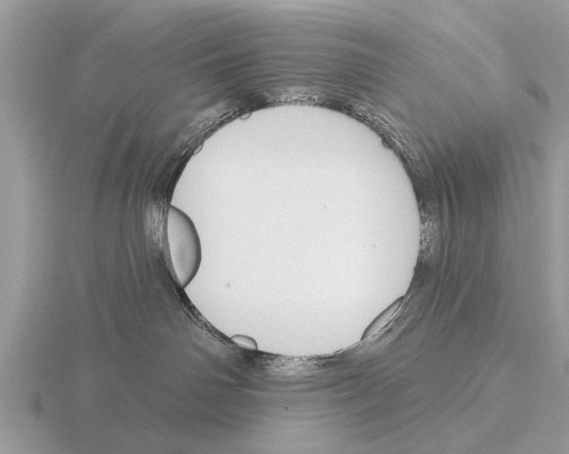 X0000115290142200912141103