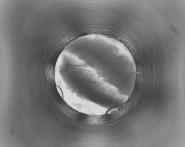 X0000115290143200912141103