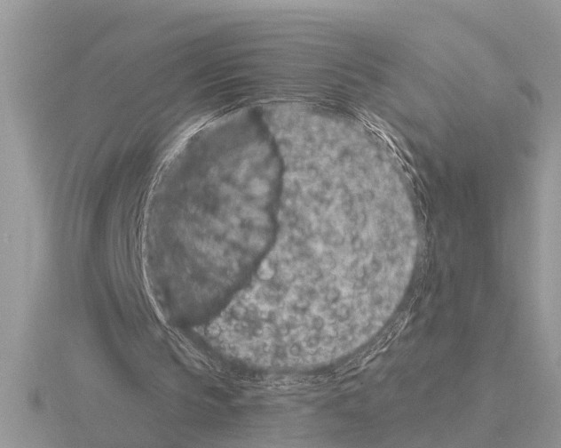 X0000115290145200912141103