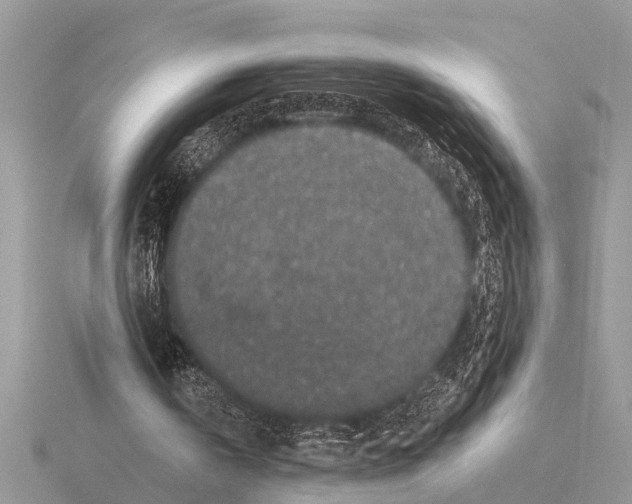 X0000115290146200912141103