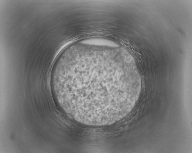 X0000115290147200912141103