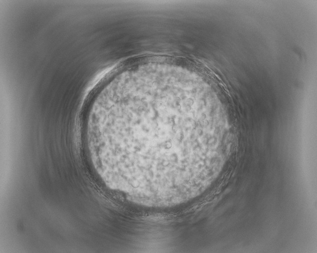 X0000115290149200912141103