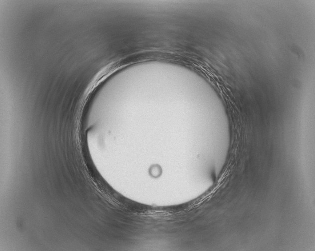 X0000115290150200912141103