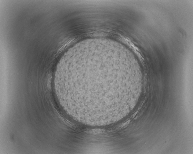 X0000115290153200912141103