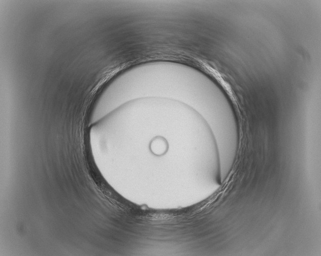 X0000115290154200912141103