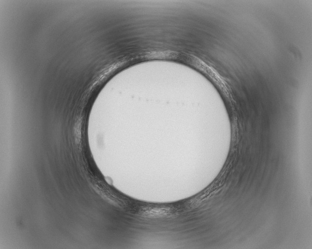 X0000115290155200912141103