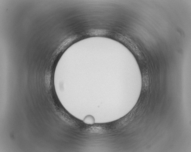 X0000115290159200912141103