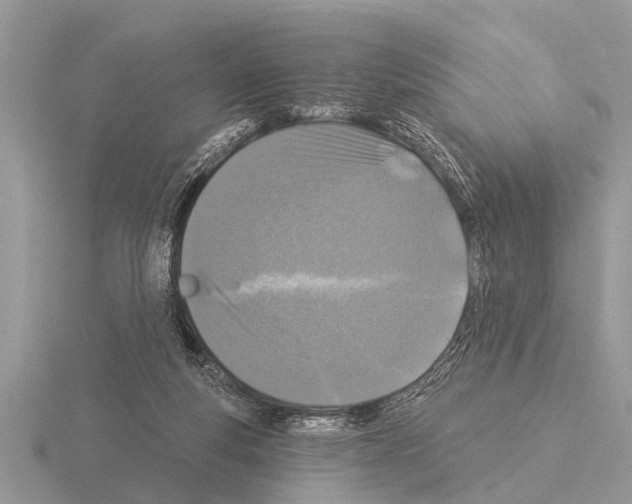 X0000115290163200912141103