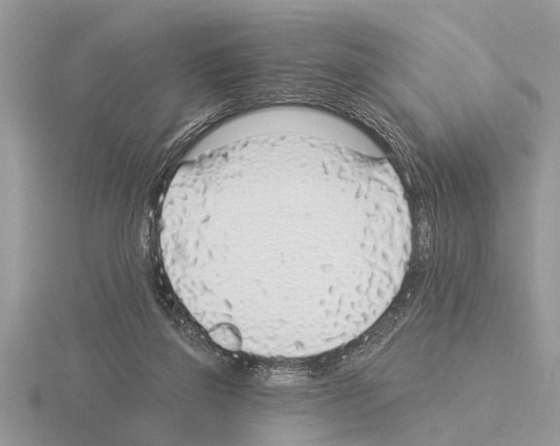 X0000115290165200912141103